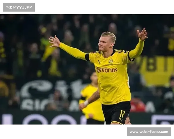 德甲俱乐部社区计划:青少年足球培训项目覆盖全德 德甲俱乐部社区计划:青少年足球培训项目覆盖全德